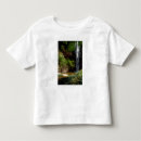 Search for volta Nature