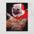 Search for cap christmas cards Lap dog