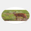Search for ellipse stickers For kids