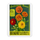 Search for zinnia magnets Vintage