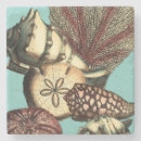 Search for turquoise coasters Seashell