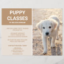 Recherche de chiots prospectus Mignon