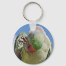 Recherche de embellissement Oiseau