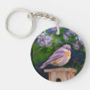 Search for bluebird keychains Songbird