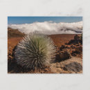 Search for cathy postcards Jaynes gallery