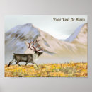 Recherche de rangement posters Animaux
