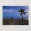 Recherche de arbre joshua cartes postales Nature