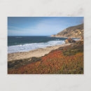 Search for big sur postcards Plant