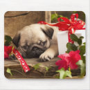 Search for pug electronics Bow