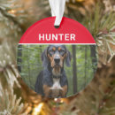 Search for coonhound ornaments Dogs