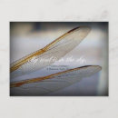 Recherche de ailes libellule cartes postales Insectes
