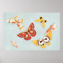 Recherche de illustration papillon posters Insecte