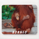 Search for malaysia electronics Borneo