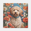 Search for labradoodle magnets Cute