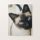 Recherche de siamois puzzles Chat