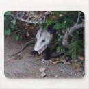 Recherche de opossum tapis souris Animaux