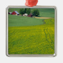 Search for idaho ornaments Field