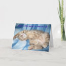 Search for adopted cat cards Rescue