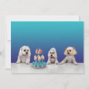 Search for rescued dog invitations Adoption