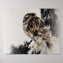 Recherche de hibou à cornes posters Animal