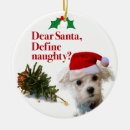 Search for bichon ornaments Bichon frise christmas