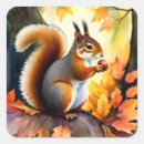 Search for squirrel with nuts stickers Squirrels