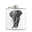 Search for elephant flasks Wildlife