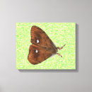 Search for moth canvas prints Bugs