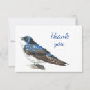 Search for swallow cards Wildlife