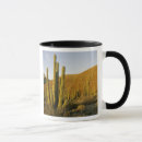 Search for baja drinkware Sea of cortez