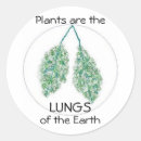 Search for carbon stickers Nature
