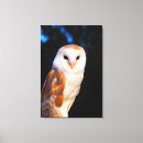 Search for selective focus art White