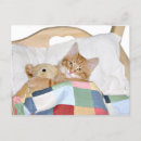 Search for sleeping kitty postcards Tabby