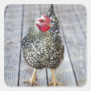 Recherche de solitude autocollants Extérieur