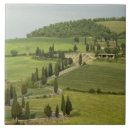 Search for siena tiles Cypress
