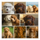 Recherche de diy posters Collage de photos