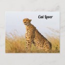 Recherche de lovers cartes postales Animal