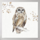Recherche de hibou gris posters Animaux