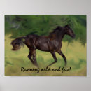 Recherche de pouliches art Ranch