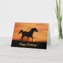 Search for spirit horse cards Arabian