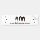 Search for boston terrier bumper stickers Dog