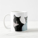 Recherche de chat philosophique tasses Chats