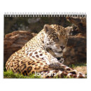 Recherche de jaguar bureau fournitures Exotique