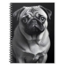 Search for pocket pet posters Cute