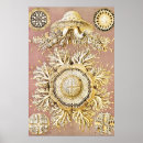 Search for marine biology posters Ernst haeckel