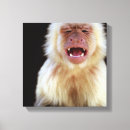 Recherche de bouche ouverte posters Nature