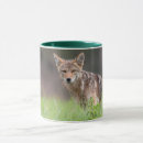 Search for coyotes mugs Canine