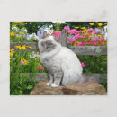 Recherche de chat de birman cartes postales Fleurs