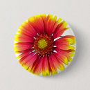 Recherche de indien badges Nature