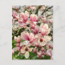 Recherche de rosaries cartes postales Pour tous